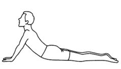 sciatica stretch