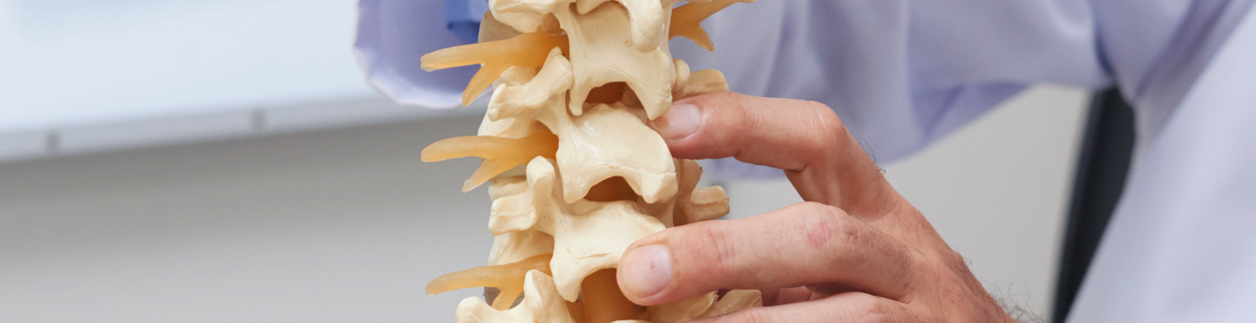 Degenerative Disc Disease / Spinal Osteoarthritis - Chiropractic on ...